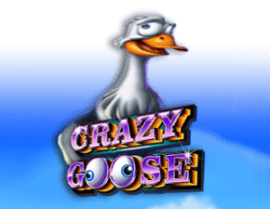 Crazy Goose