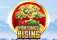 Fortunes Rising
