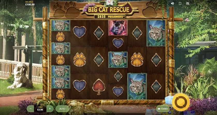 Joacă Gratis Big Cat Rescue Megaways